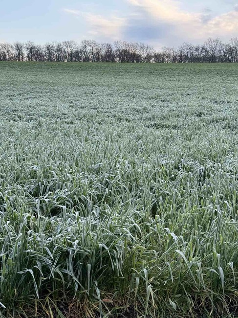 Български фермерски съюз иска създаването на гаранционен фонд за щети в земеделието