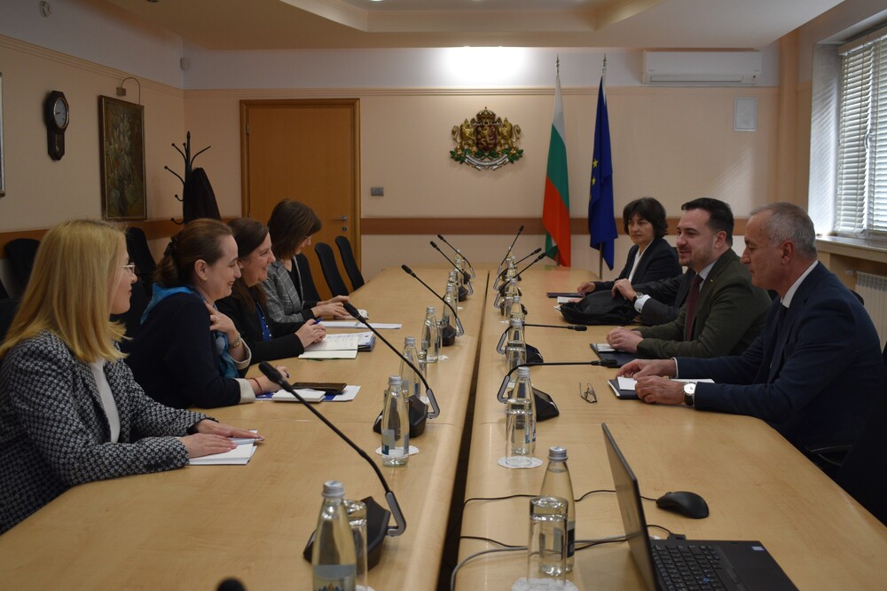 Deputy Economy Minister Confers with European Commission Representatives in Bulgaria