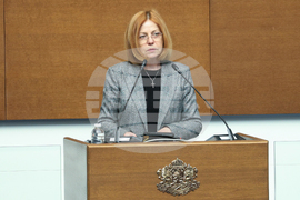 Народно събрание - заседание