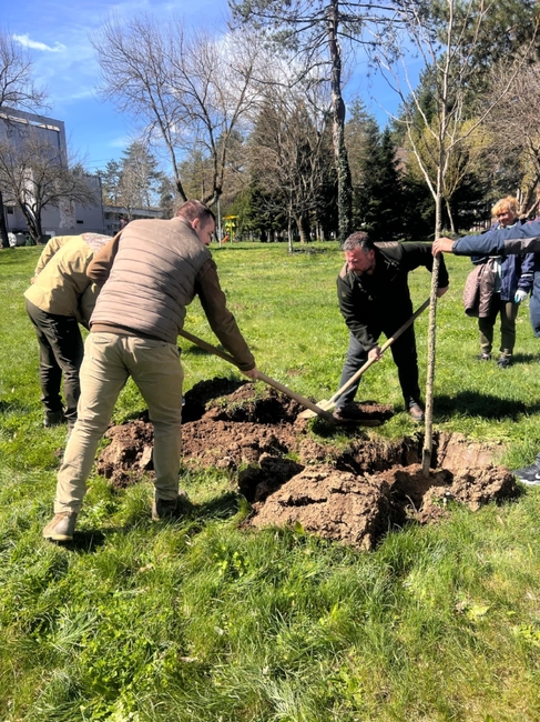 Със засаждане на различни дървесни видове в градския парк в Павел баня отбелязаха Седмицата на гората
