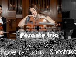 Клавирното трио „Пезанте“ представя музиката на Бетовен, Робърт Фукс и Шостакович , визия – НСО