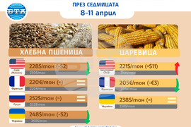 Цени на основни зърнени стоки по световните борси през седмицата 8-11 април 