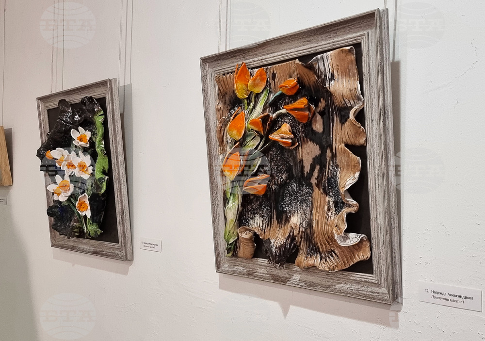 Велико Търново - благотворителна изложба 