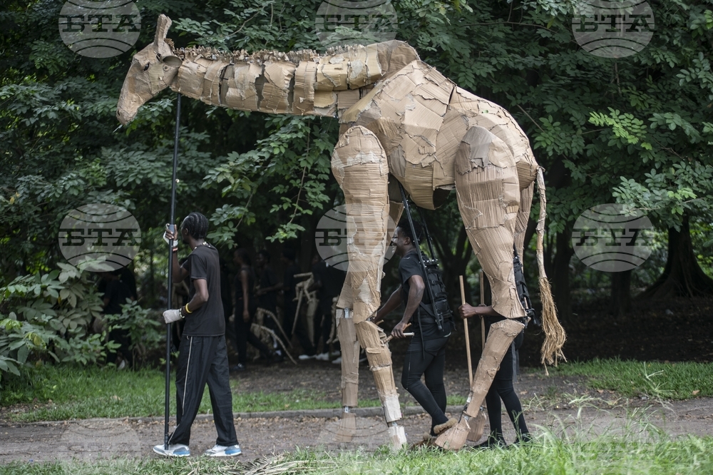 Congo Herds