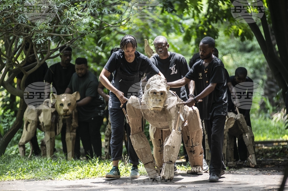 Congo Herds