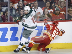 Wild Flames Hockey