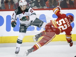 Wild Flames Hockey