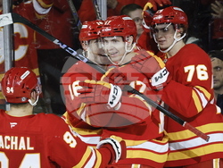 Wild Flames Hockey