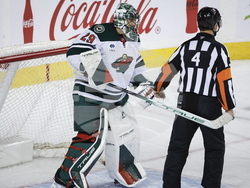 Wild Flames Hockey