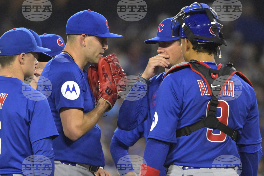 Cubs Dodgers Baseball