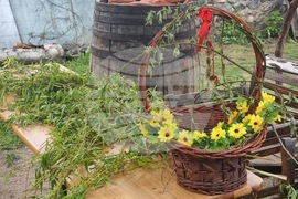 Село Раждавица - обичай - Лазаровден