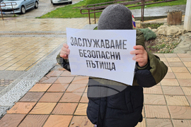 Троян - протест - война на пътя