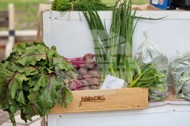 Ямбол - регионално фермерско-занаятчийско изложение