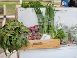 Ямбол - регионално фермерско-занаятчийско изложение