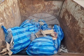 Разград - екоакция - бонбони за смет