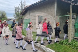 Търговище - Лазаруване - народен обичай