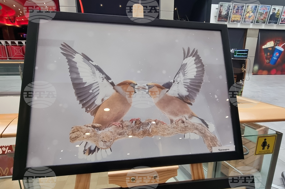 Стара Загора - „Тракия - дивата природа в кадър” - фотоизложба