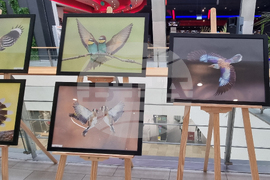 Стара Загора - „Тракия - дивата природа в кадър” - фотоизложба