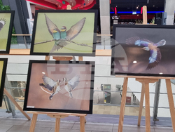 Стара Загора - „Тракия - дивата природа в кадър” - фотоизложба