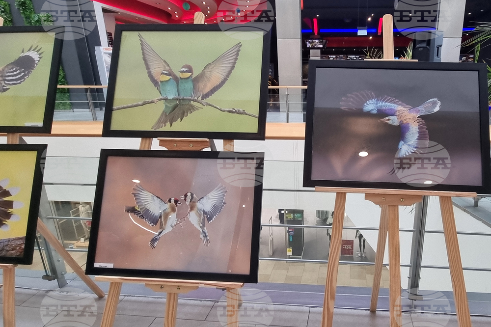 Стара Загора - „Тракия - дивата природа в кадър” - фотоизложба