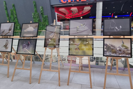 Стара Загора - „Тракия - дивата природа в кадър” - фотоизложба