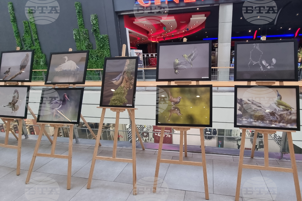 Стара Загора - „Тракия - дивата природа в кадър” - фотоизложба