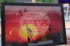 Стара Загора - „Тракия - дивата природа в кадър” - фотоизложба