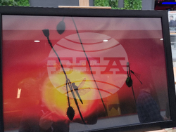 Стара Загора - „Тракия - дивата природа в кадър” - фотоизложба