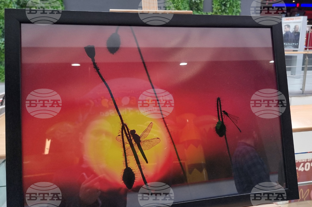 Стара Загора - „Тракия - дивата природа в кадър” - фотоизложба