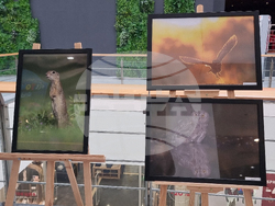 Стара Загора - „Тракия - дивата природа в кадър” - фотоизложба