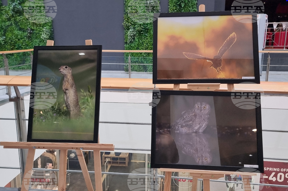 Стара Загора - „Тракия - дивата природа в кадър” - фотоизложба