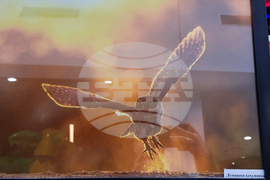 Стара Загора - „Тракия - дивата природа в кадър” - фотоизложба