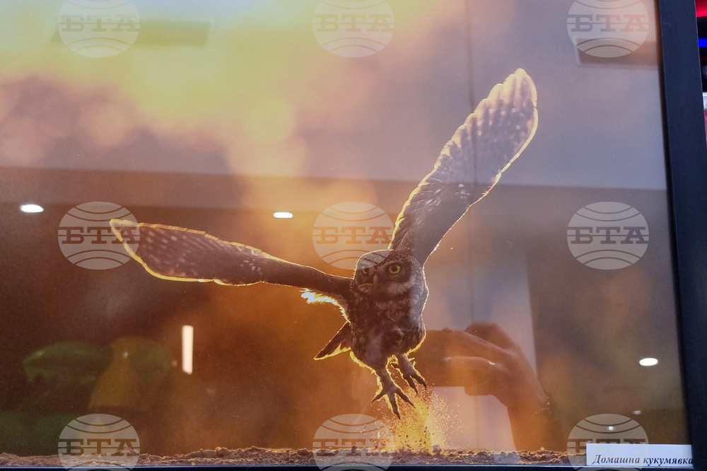 Стара Загора - „Тракия - дивата природа в кадър” - фотоизложба