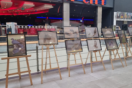 Стара Загора - „Тракия - дивата природа в кадър” - фотоизложба