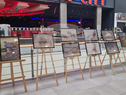 Стара Загора - „Тракия - дивата природа в кадър” - фотоизложба