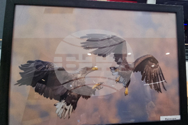 Стара Загора - „Тракия - дивата природа в кадър” - фотоизложба