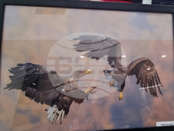 Стара Загора - „Тракия - дивата природа в кадър” - фотоизложба