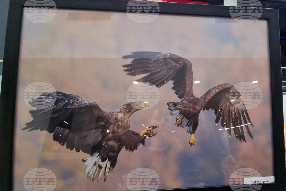 Стара Загора - „Тракия - дивата природа в кадър” - фотоизложба