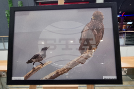 Стара Загора - „Тракия - дивата природа в кадър” - фотоизложба