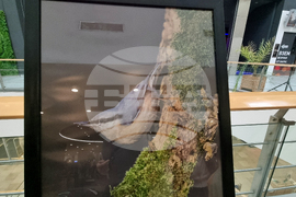 Стара Загора - „Тракия - дивата природа в кадър” - фотоизложба