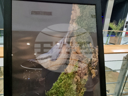 Стара Загора - „Тракия - дивата природа в кадър” - фотоизложба