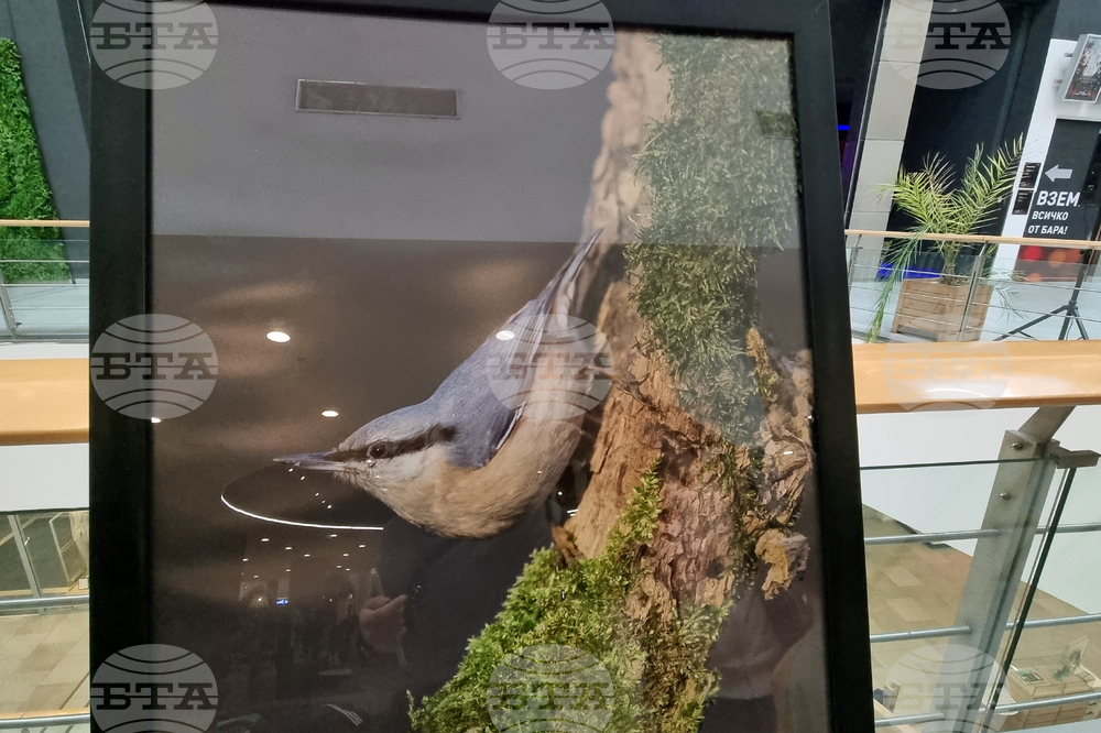 Стара Загора - „Тракия - дивата природа в кадър” - фотоизложба