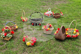 Село Горно Церовене - Лазаровден