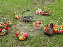 Село Горно Церовене - Лазаровден