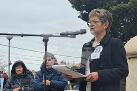 Село Телиш - протест - катастрофа