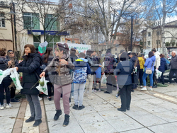 Самоков - Гората.бг - фиданки