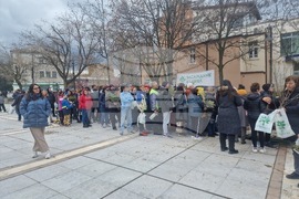 Самоков - Гората.бг - фиданки