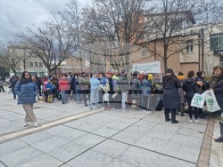 Самоков - Гората.бг - фиданки