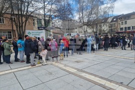 Самоков - Гората.бг - фиданки