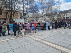 Самоков - Гората.бг - фиданки